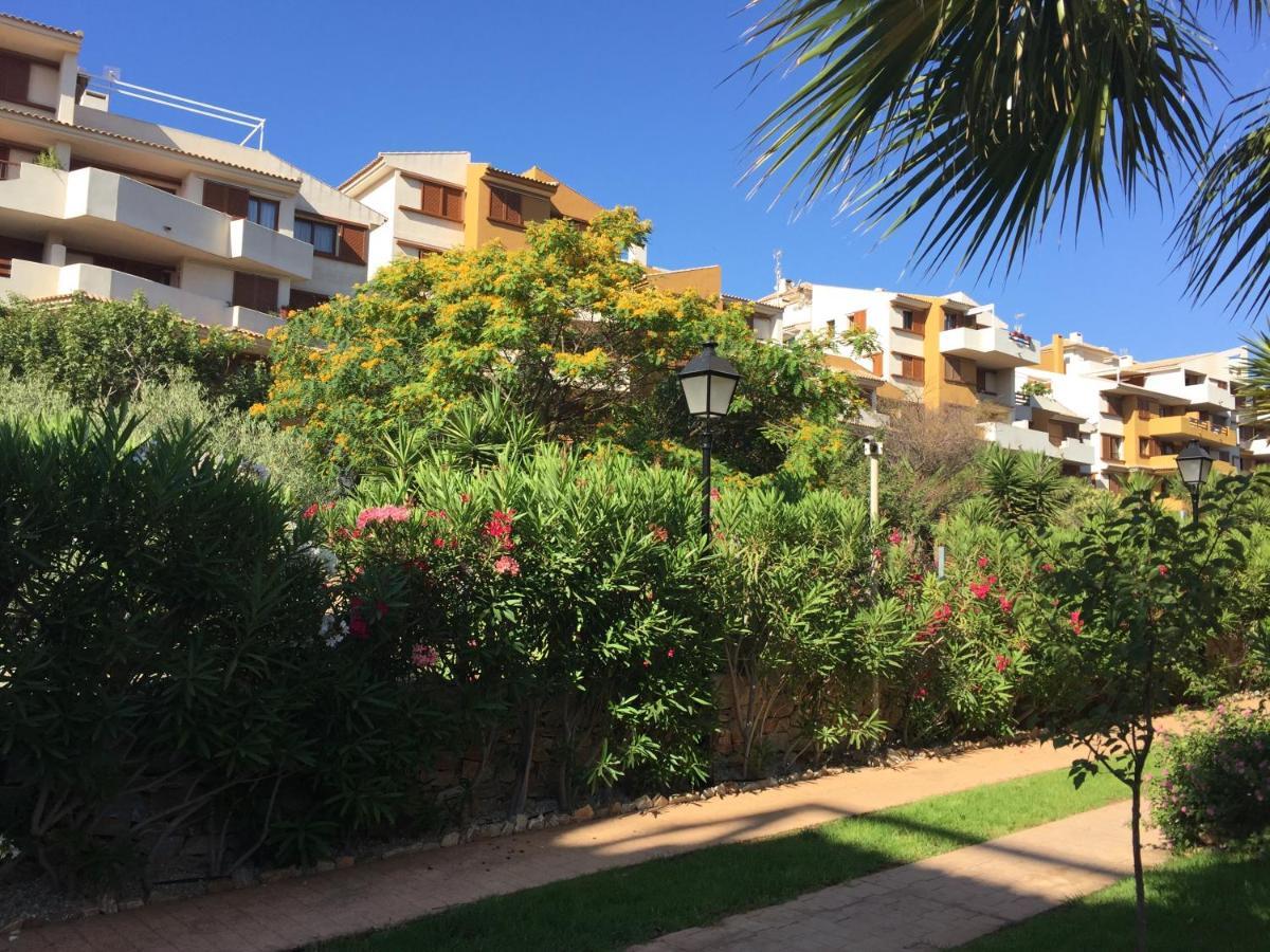 Torrevieja 200M From Sea Punta Prima Daire Alicante Dış mekan fotoğraf