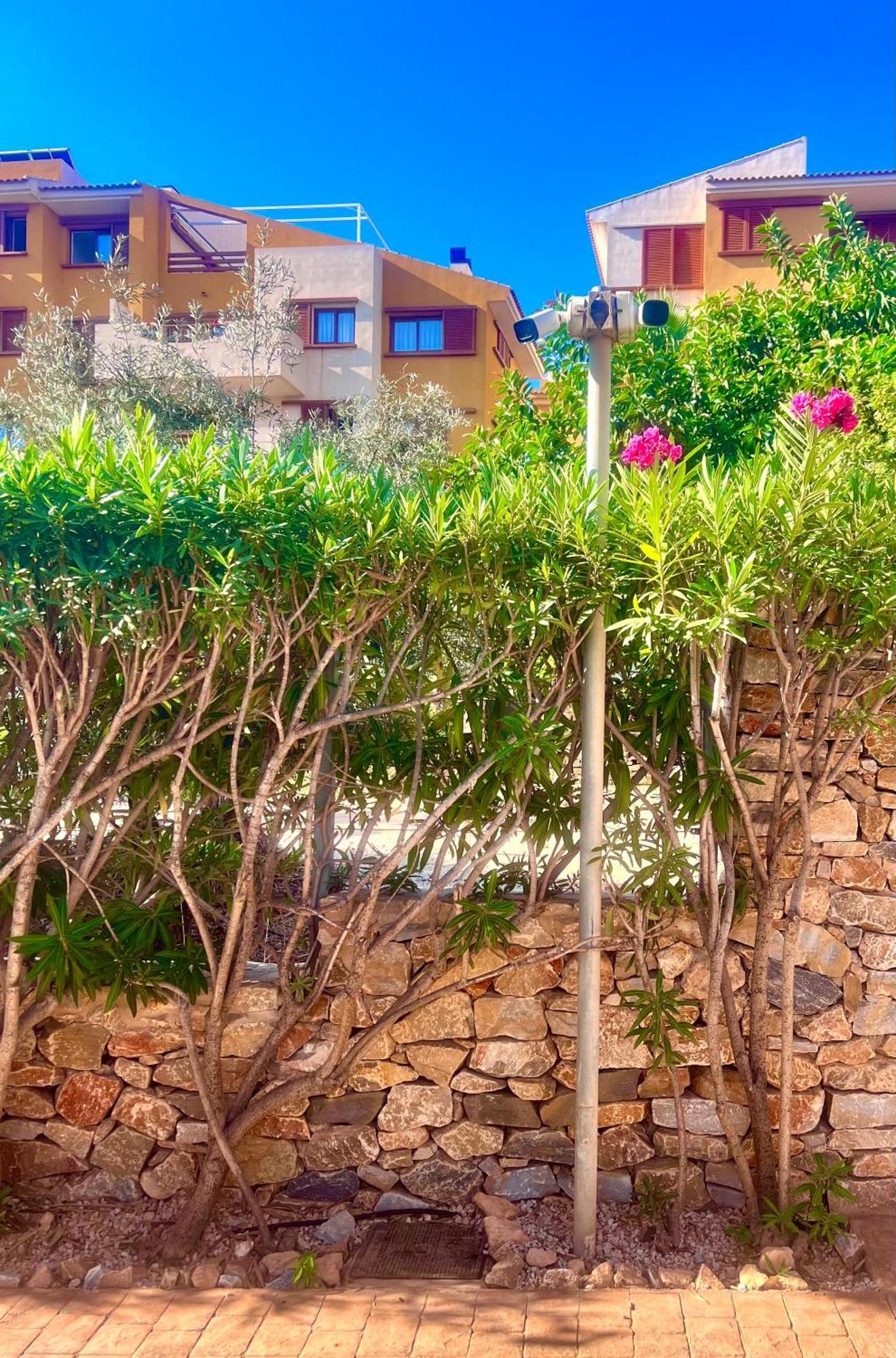 Torrevieja 200M From Sea Punta Prima Daire Alicante Dış mekan fotoğraf
